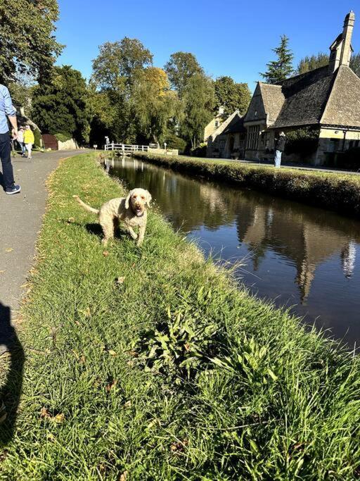 Little Gem Cottage Luxury Cottage Bourton, Dog Friendly, Parking, Gdn Exterior photo